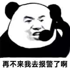 20241213135005