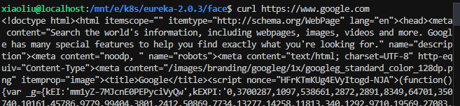image-20241230175459852